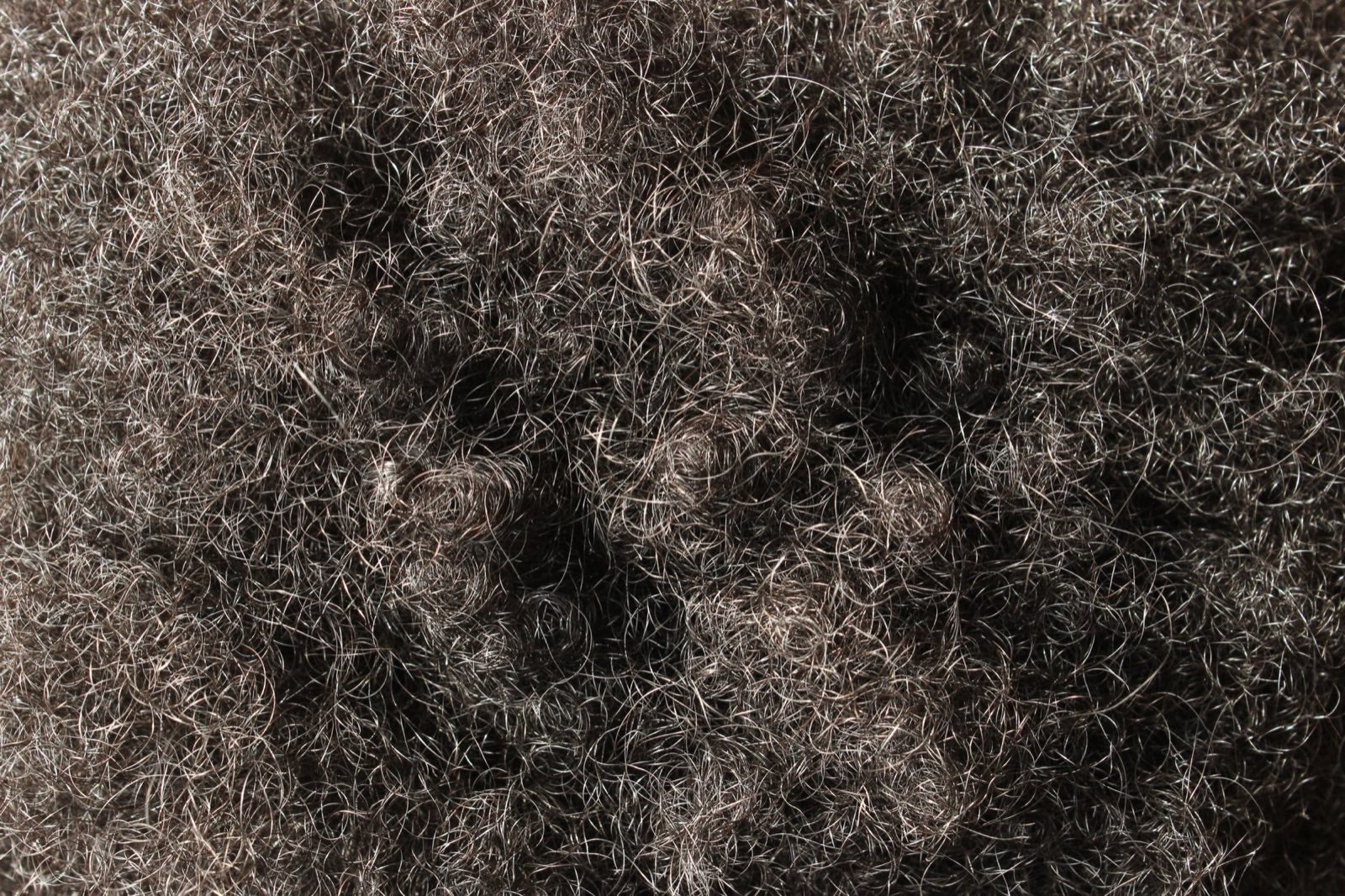 Close-up hair texture